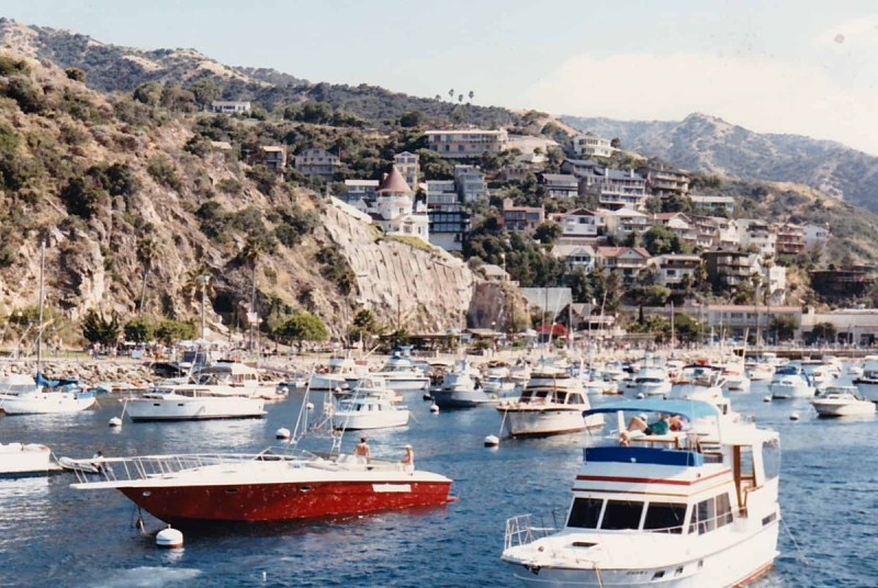 Boats in the Catalina Island harbor
