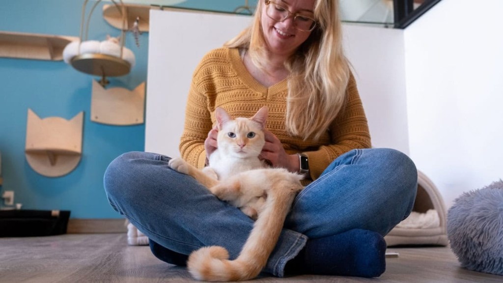 A woman with a cat in one of the many cat cafes in Orange County