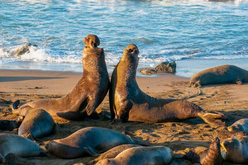 best free attractions in California