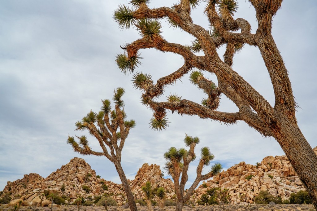 National park funding freeze