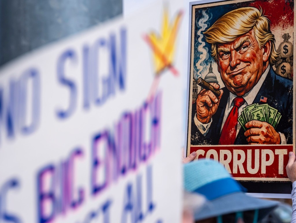 Signs at a No Kings protest