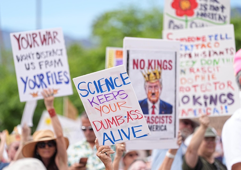 Signs at a No Kings protest