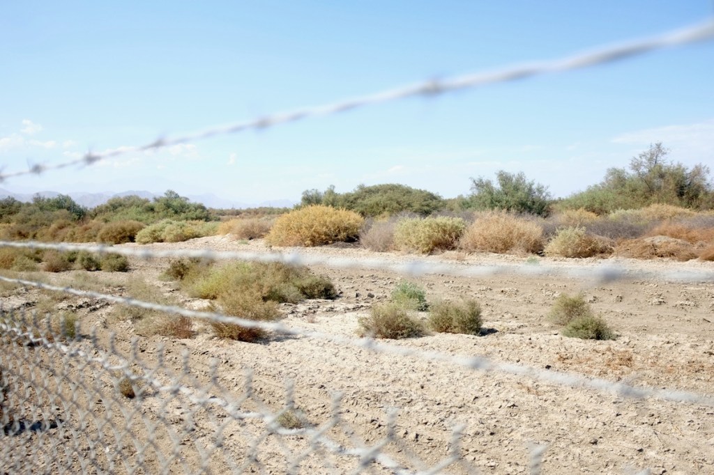 Twenty-Nine Palms