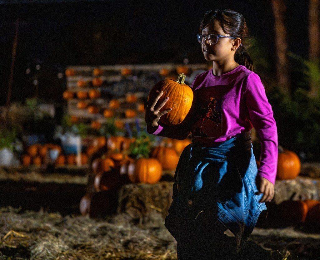 pumpkin patch in Palm Springs